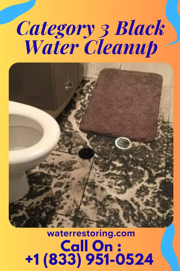 Category 3 Black Water Cleanup in Eagle, ID